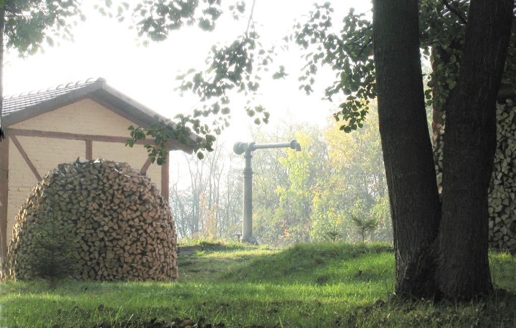 Apartamenty Carskie Bialowieza Bagian luar foto
